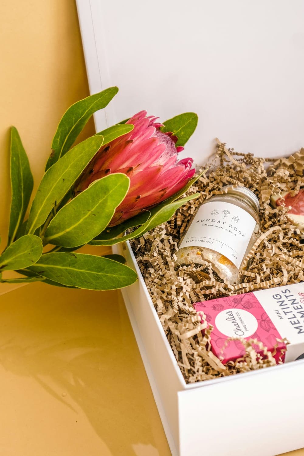 Wellness & Self-Care